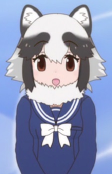 Gambar Karakter Raccoon Dog