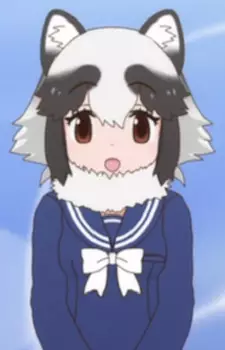Gambar Karakter Anime: Raccoon Dog