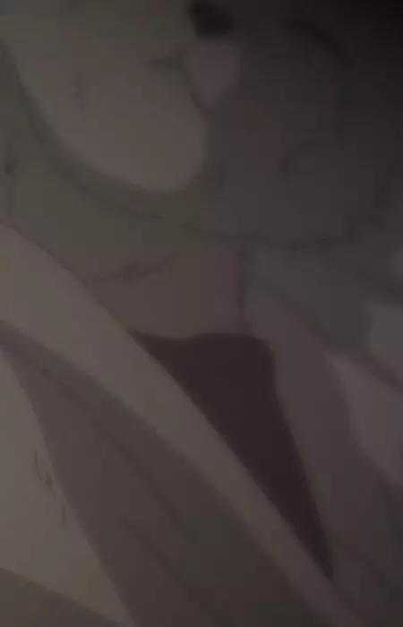 Gambar Karakter Anime: Lanteveldt's Mother