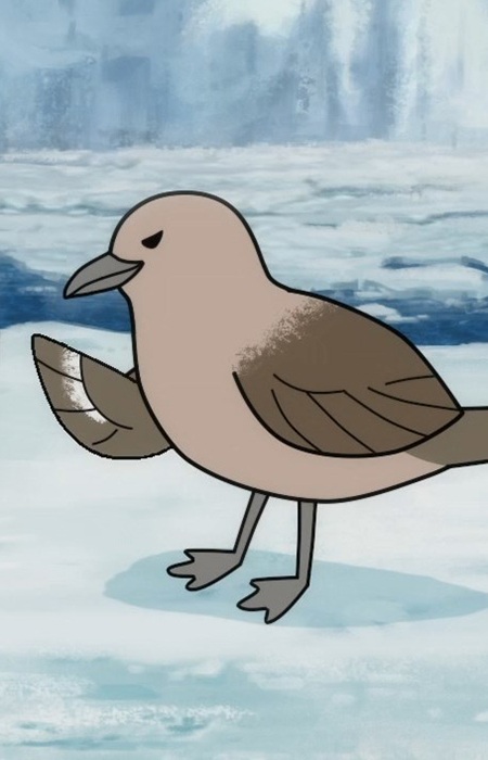 Gambar Karakter South Polar Skua