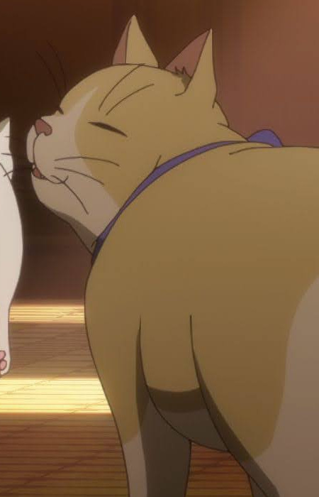 Gambar Karakter Camellia