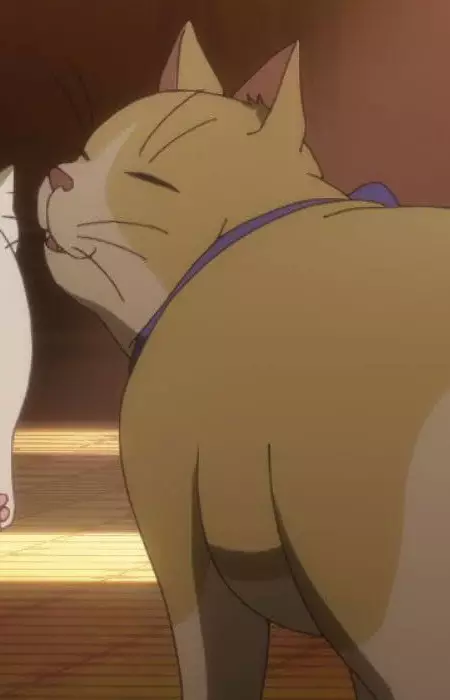 Gambar Karakter Anime: Camellia