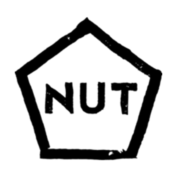Logo Studio Nut