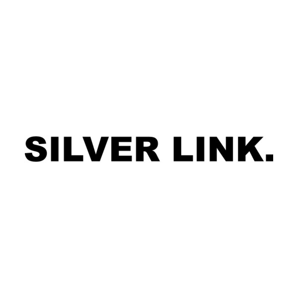 Logo Studio SILVER LINK.