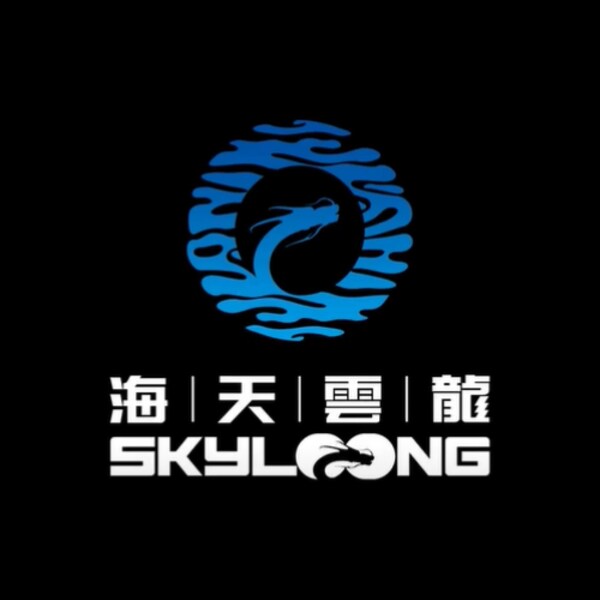 Logo Studio Skyloong