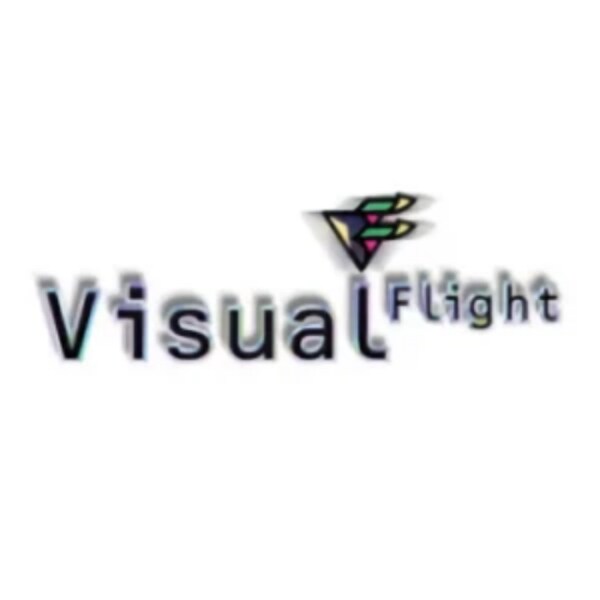 Logo Studio Visual Flight