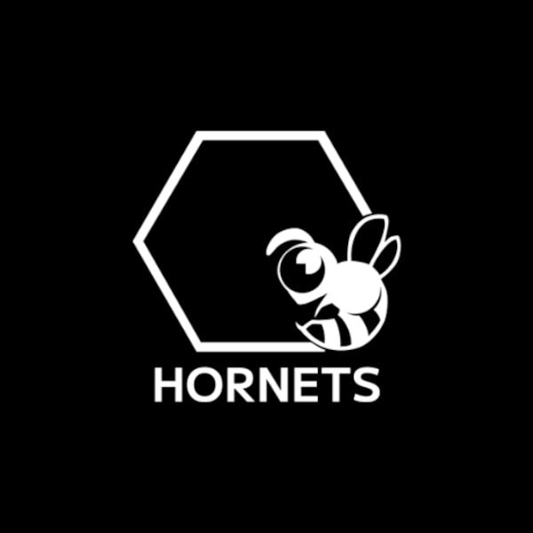 Logo Studio HORNETS