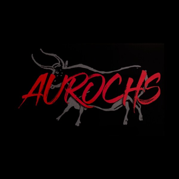 Logo Studio Aurochs