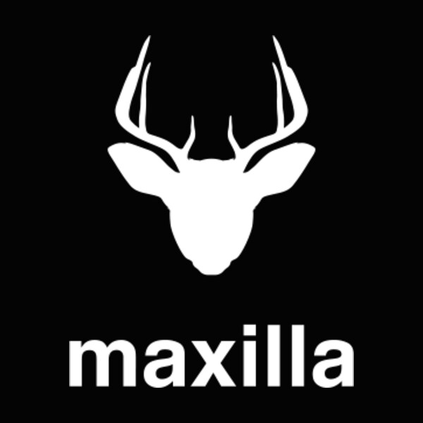 Logo Studio Maxilla