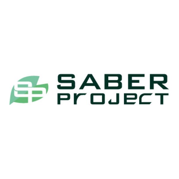 Logo Studio Saber Project
