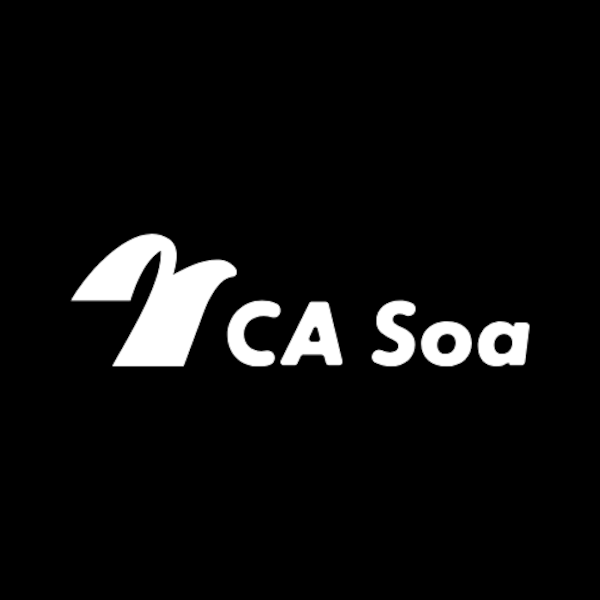 Logo Studio CA Soa