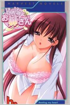 Sampul Manga Dokidoki Oneesan