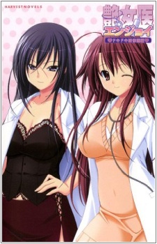 Sampul Manga Enjoy: Dokidoki Kenshuui-hen