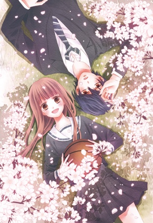 Manga image Tsubasa to Hotaru