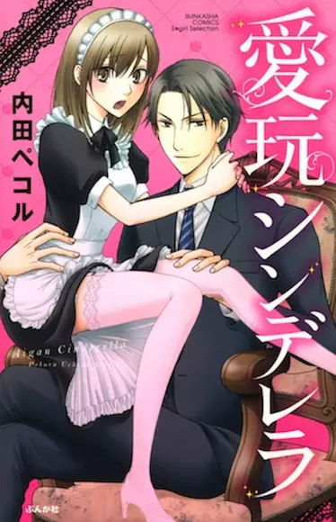 Gambar Cover Manga Aigan Cinderella