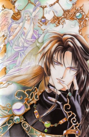 Manga image Seimaden