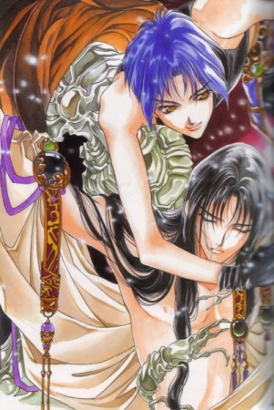 Manga image Seimaden