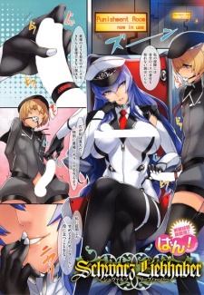 Sampul Manga Schwarz Liebhaber