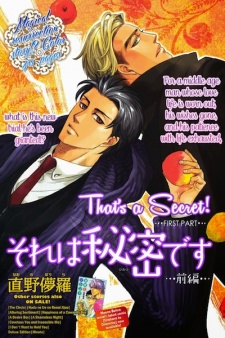 Sampul Manga Sore wa Himitsu desu