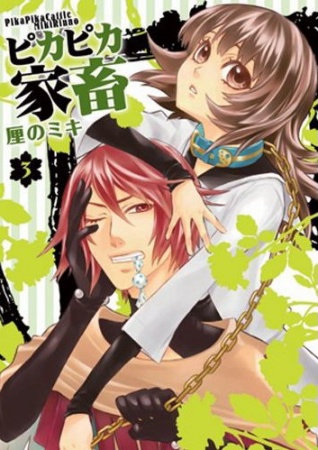 Gambar Cover Manga Pikapika Kachiku