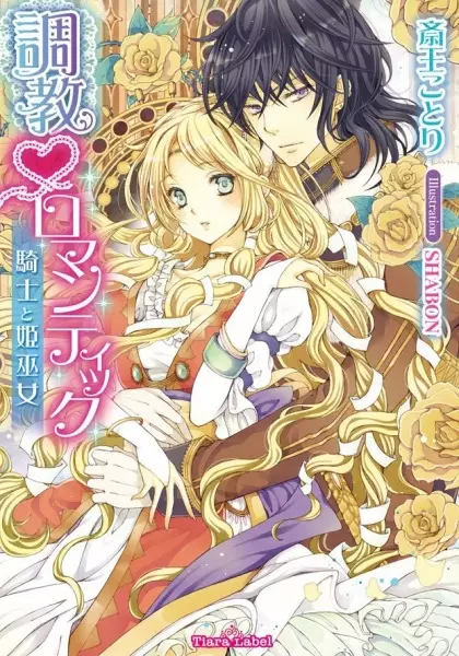 Gambar Cover Manga Choukyou♥Romantic: Kishi to Himemiko