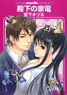 Sampul Manga Denka no Kaden