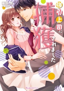 Sampul Manga Gouin Joushi ni Hokaku Saremashita