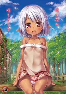 Sampul Manga Namida no Hana no Saku Tokoro