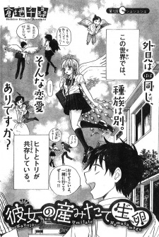 Sampul Manga Kanojo no Umitate Namatamago