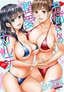 Sampul Manga Oneesan no Junai Karte