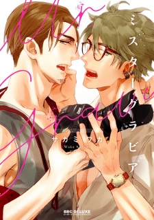 Sampul Manga Mr. Gravure