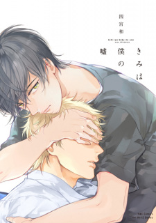 Sampul Manga Kimi wa Boku no Uso