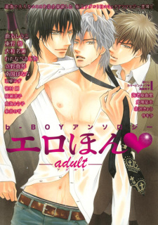 Sampul Manga Erohon♥: Adult
