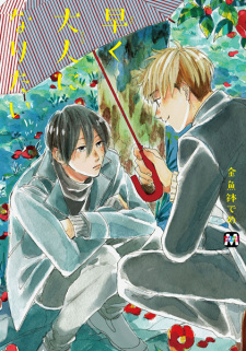 Sampul Manga Hayaku Otona ni Naritai