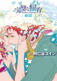 Sampul Manga Kanpeki na Shiiku