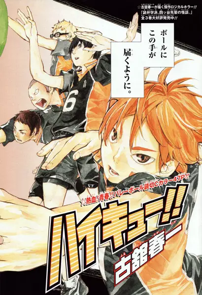 Sampul Haikyuu!!