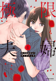 Sampul Manga Kyokugen Fuufu