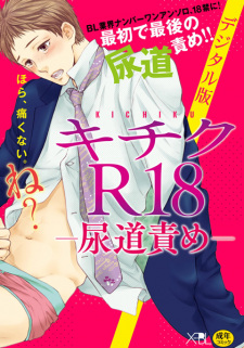 Sampul Manga Kichiku R18: Nyoudouzeme
