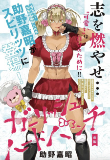 Sampul Manga Girlish Hard Punch