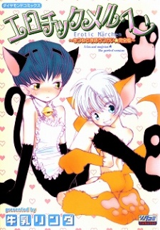 Sampul Manga Erotic Märchen