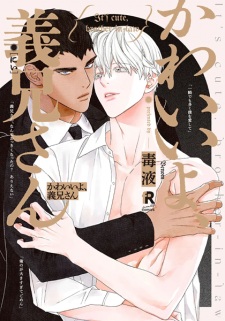 Sampul Manga Kawaii yo, Niisan