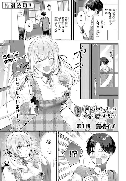 Gambar Cover Manga Kokou no Gal Narumi-san wa Kawaii Mono ga Osuki