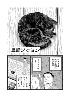Sampul Manga Kuroneko Jumin