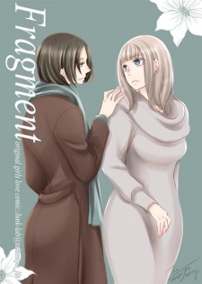 Sampul Manga Fragment