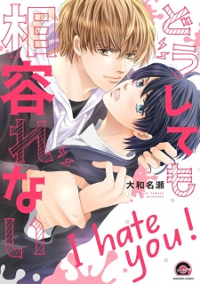 Sampul Manga Doushitemo Aiirenai