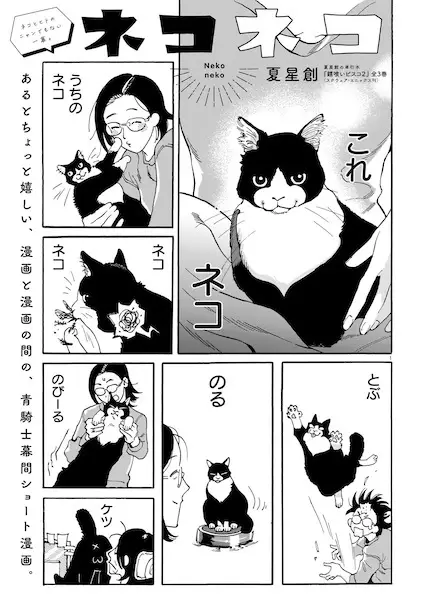 Gambar Cover Manga Neko Neko