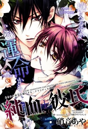 Manga image Junketsu + Kareshi