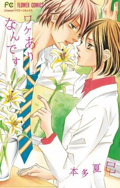 Gambar Cover Manga Wakeari Nandesu