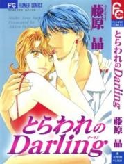 Gambar Cover Manga Toraware no Darling