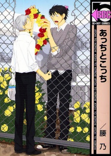 Sampul Manga Acchi to Kocchi